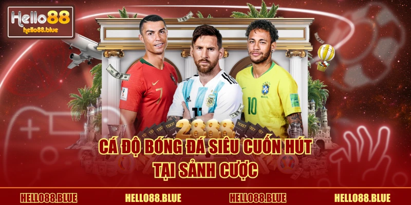 cá độ bóng đá siêu cuốn hút tại sảnh cược