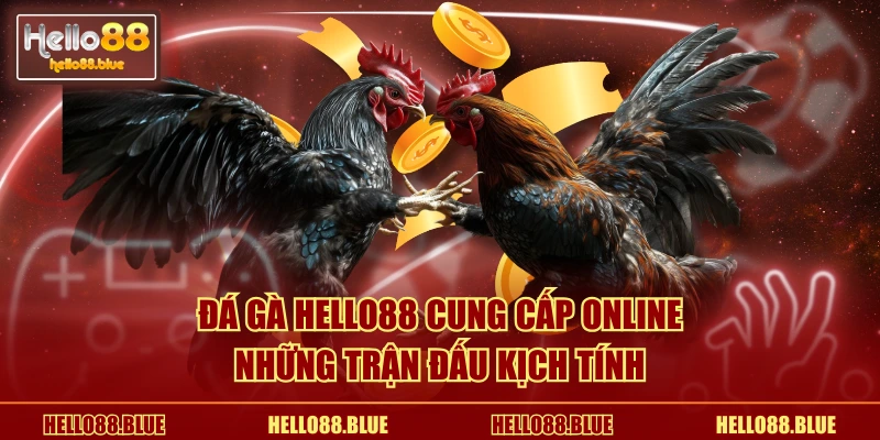 Đá gà HELLO88 cung cấp online những trận đấu kịch tính