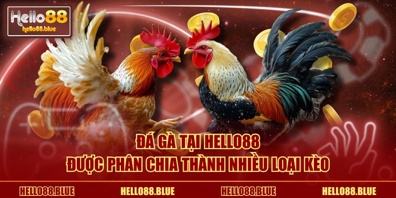 Đá gà tại HELLO88 được phân chia thành nhiều loại kèo