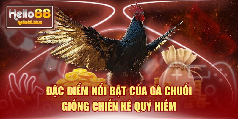 Đặc Điểm Nổi Bật Của Gà Chuối - Giống Chiến Kê Quý Hiếm