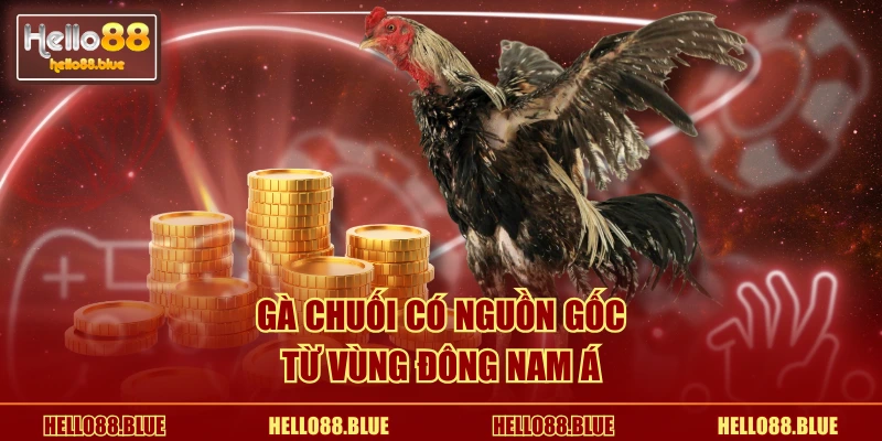 Gà Chuối có nguồn gốc từ vùng Đông Nam Á