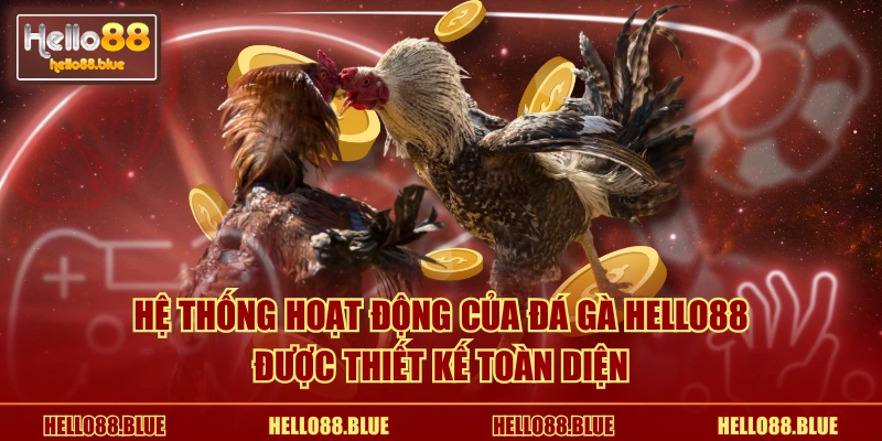 Hệ thống hoạt động của đá gà HELLO88 được thiết kế toàn diện