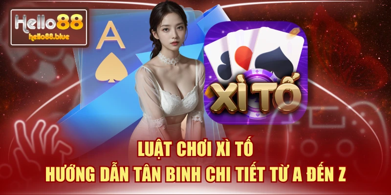 Luật Chơi Xì Tố | Hướng Dẫn Tân Binh Chi Tiết Từ A Đến Z