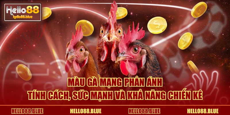 Màu gà mạng phản ánh tính cách, sức mạnh và khả năng chiến kê