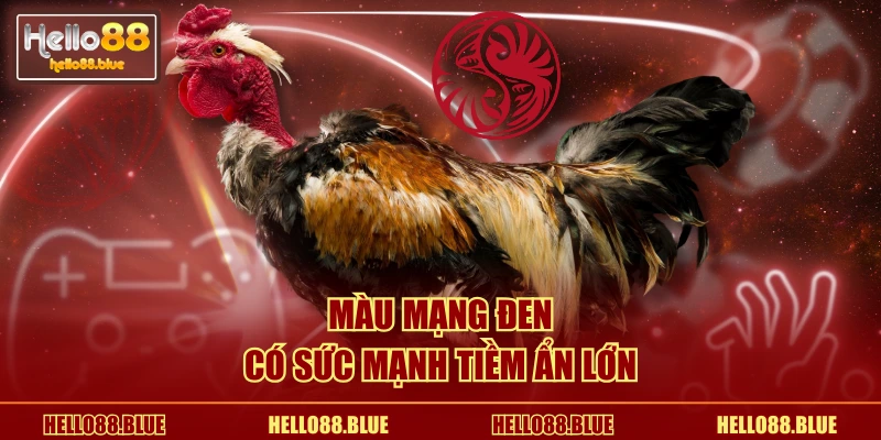 Màu mạng đen có sức mạnh tiềm ẩn lớn