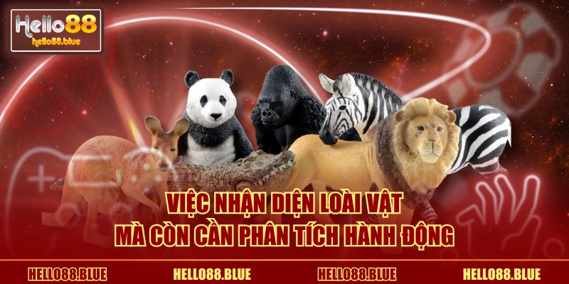 Việc nhận diện loài vật mà còn cần phân tích hành động